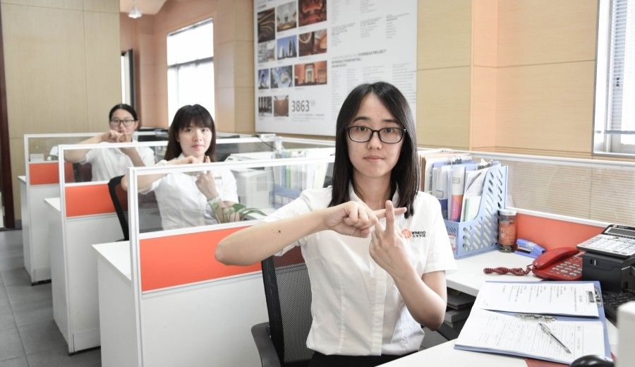 Porcellana Guangzhou Wuyang Yiguan Acoustic Materials Co., Ltd. Profilo Aziendale